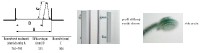 JIKA CUBITO PURE sprchové dveře skládací 800 mm, levé/pravé, sklo arctic   H2552410026661